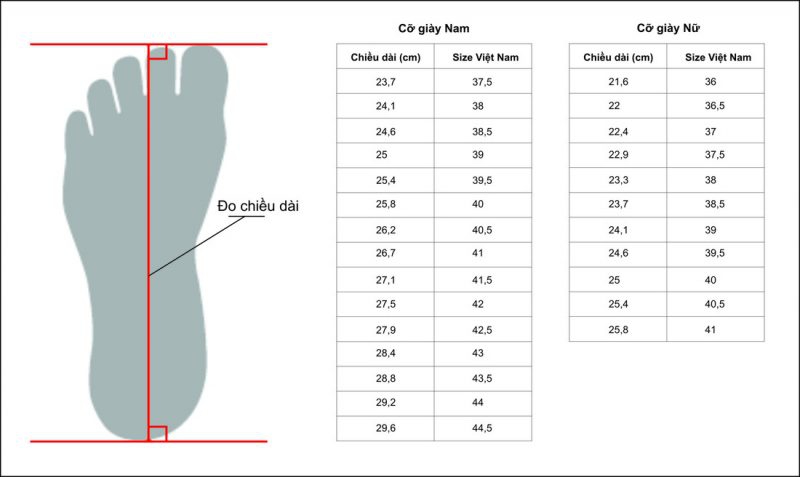 Káº¿t quáº£ hÃ¬nh áº£nh cho cÃ¡chchá»n size